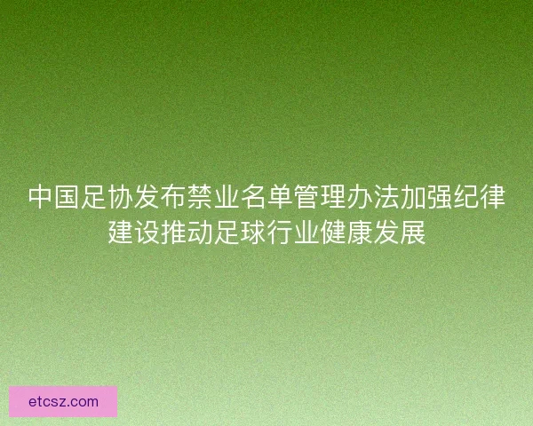 中国足协发布禁业名单管理办法加强纪律建设推动足球行业健康发展
